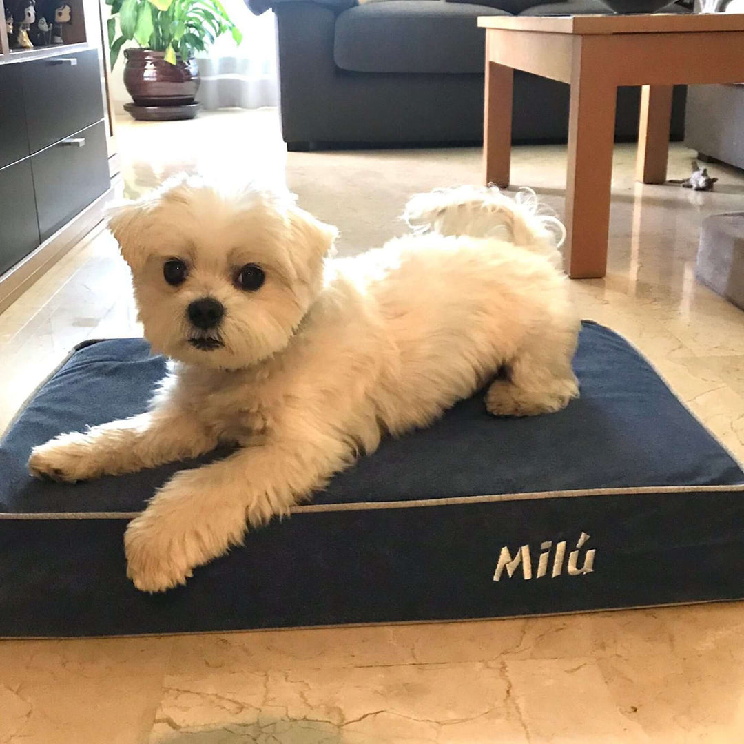Cama baluka viscoelástica tamaño S para perros, con diseño ergonómico y máximo confort.