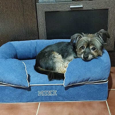 Cama viscoelástica para perros con un perro descansando cómodamente sobre ella.
