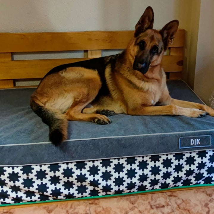 Cama viscoelástica para perros con un perro descansando cómodamente en ella.