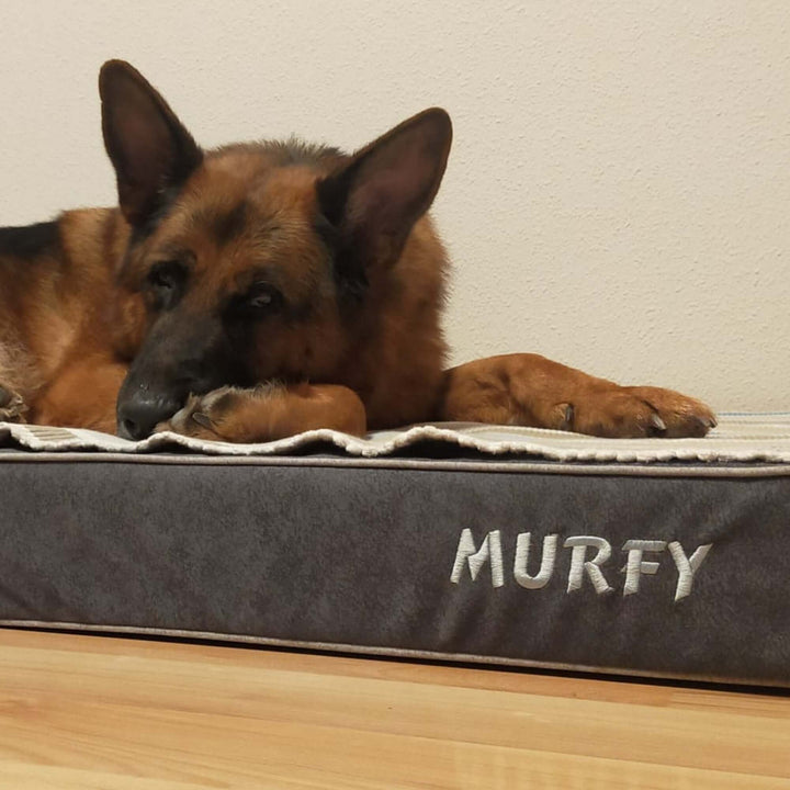 Cama viscoelástica para perros con un perro descansando sobre ella, mostrando confort y lujo.