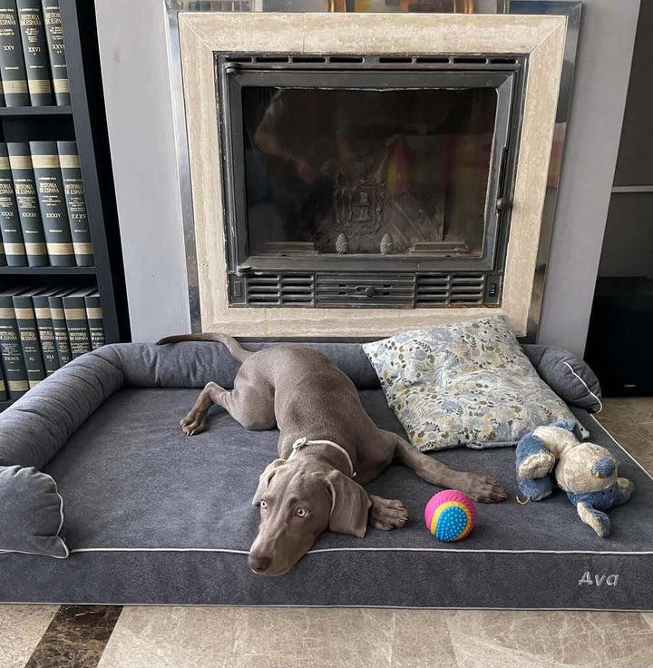 Cama viscoelástica para perros con un perro descansando, juguetes y almohada en un ambiente acogedor.