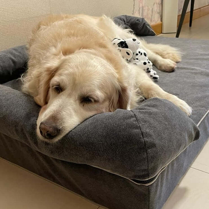 Perro relajándose en una cama viscoelástica para perros, disfrutando de su comodidad y descanso.