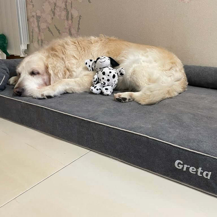 Perro durmiendo cómodamente en una cama viscoelástica para perros junto a su juguete.