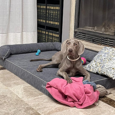 Memory foam dog bed