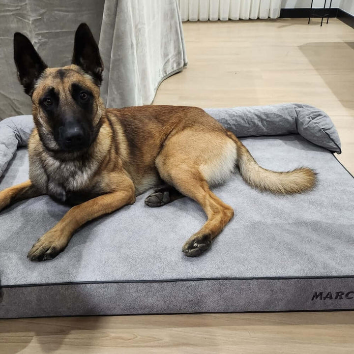 Perro descansando en una cama viscoelástica para perros de alta calidad.