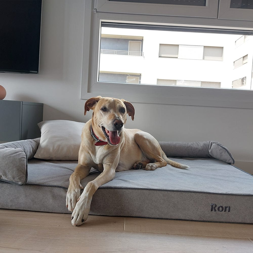 Cama viscoelástica para perros Baluka en color gris claro para perro grande llamado Ron