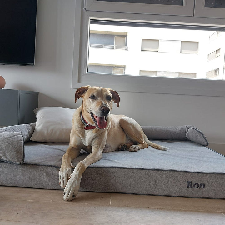 Cama viscoelástica para perros Baluka en color gris claro para perro grande llamado Ron