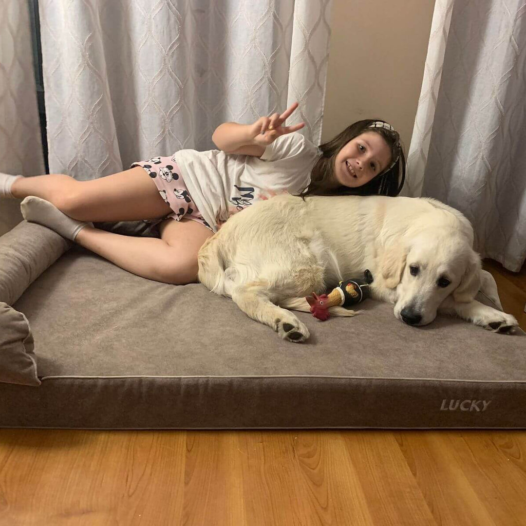Niña feliz y perro descansando en una cama viscoelástica para perros, mostrando comodidad y alegría.