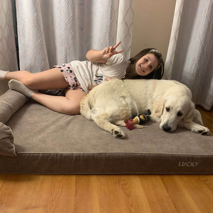 Niña feliz y perro descansando en una cama viscoelástica para perros, mostrando comodidad y alegría.