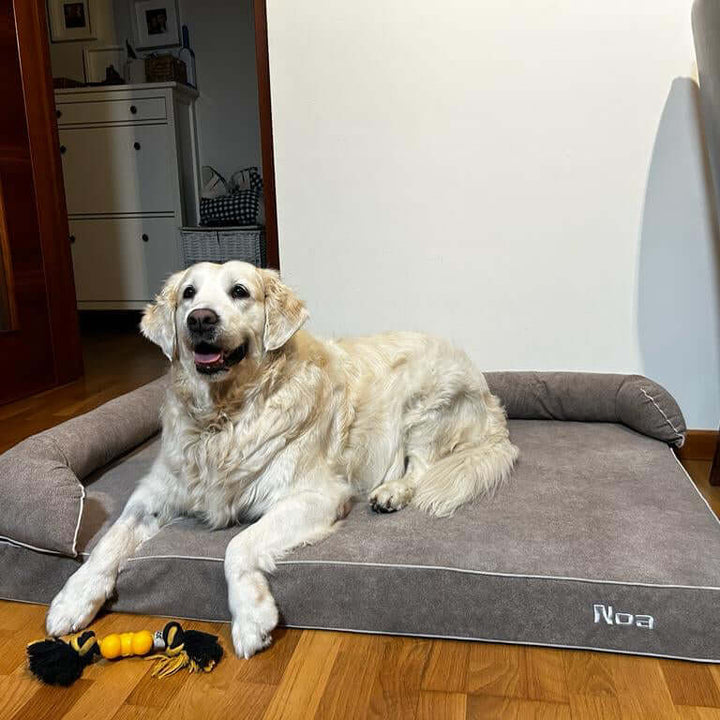 Cama viscoelástica para perros con un perro disfrutando de su descanso en un ambiente hogareño.