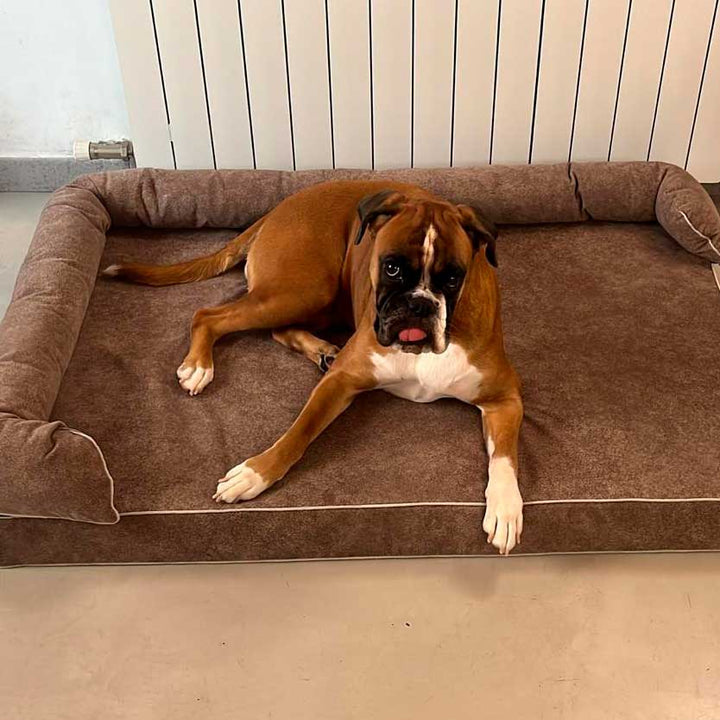perro en cama viscoelástica de calidad premium de baluka mascotas