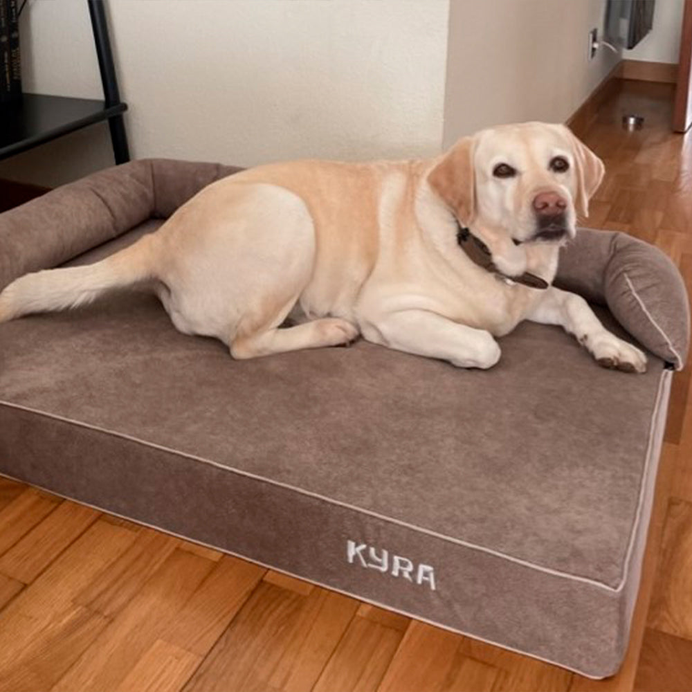 Cama de cão Viscoelastic