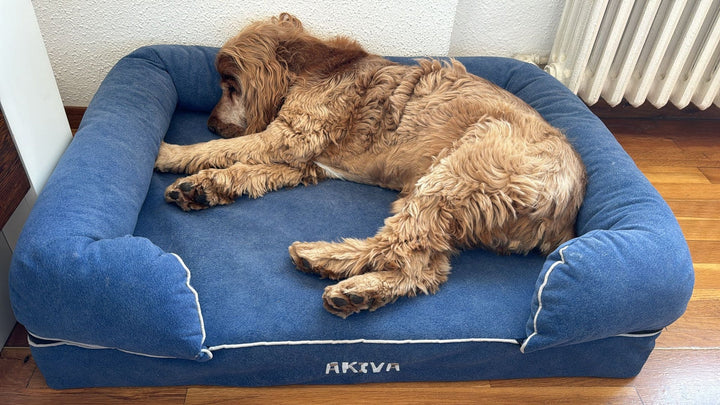 Cama viscoelástica para perro