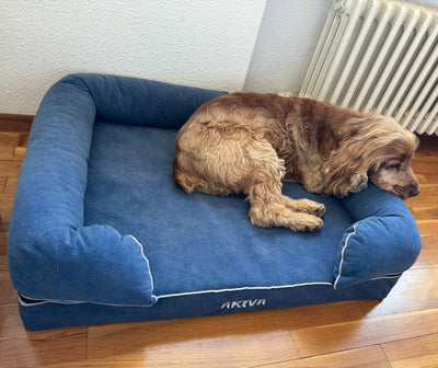 Memory foam dog bed