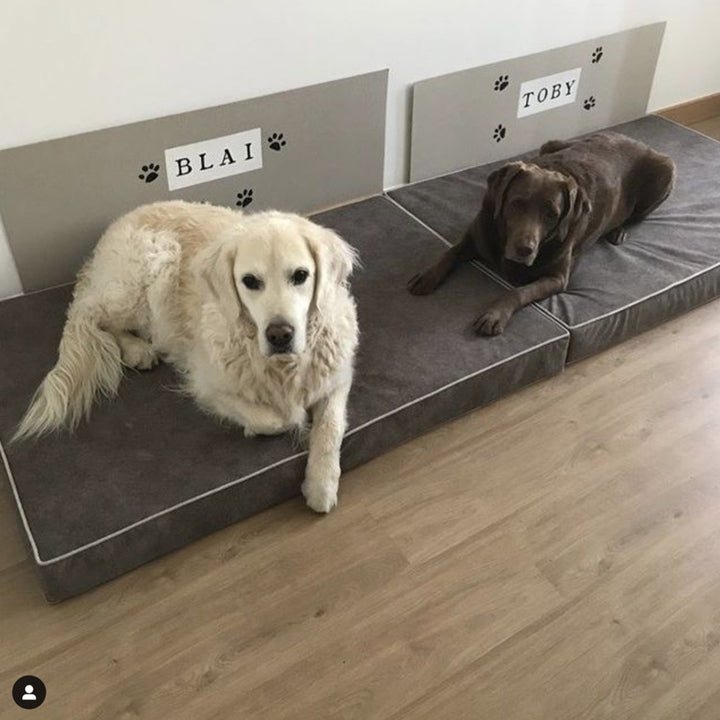 Memory foam dog bed