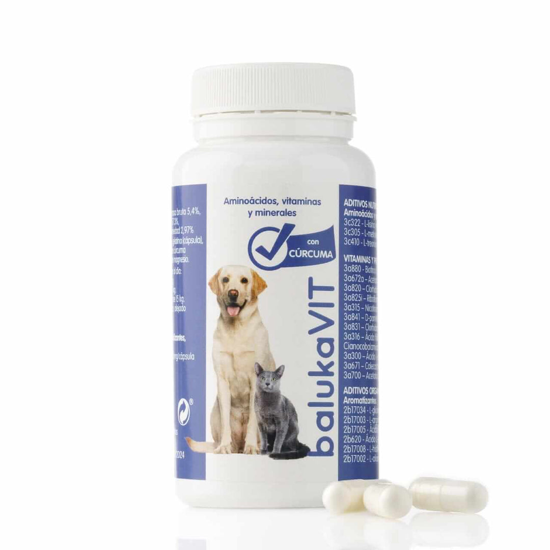 Antiinflamatorio para Perros y Gatos con Vitaminas y Cúrcuma - balukaVIT, frasco con cápsulas y etiquetas visibles.