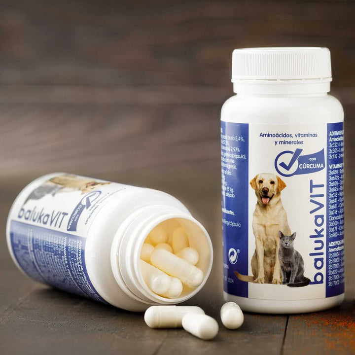 Antiinflamatorio para Perros y Gatos con Vitaminas y Cúrcuma - balukaVIT, frasco de suplementos con cúrcuma.