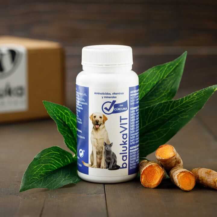 Anti-inflamatorio para Perros y Gatos con Vitaminas y Cúrcuma - balukaVIT en frasco sobre fondo natural.