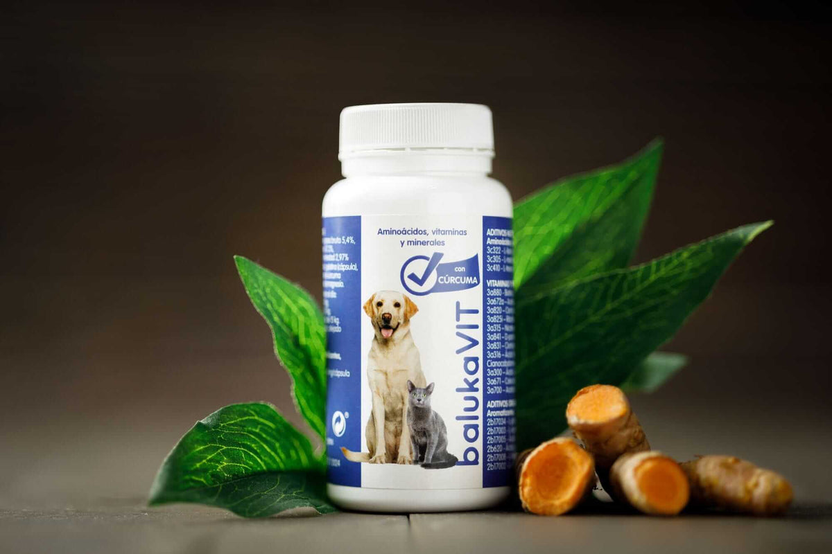 complemento vitaminas para perros y gatos con cúrcuma antiinflamatorio natural balukavit de baluka mascotas