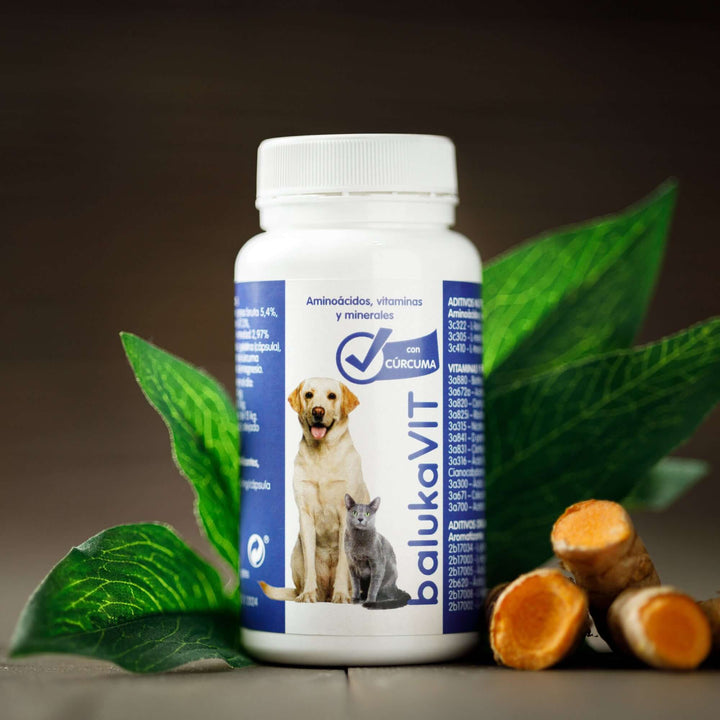 Antiinflamatorio para Perros y Gatos con Vitaminas y Cúrcuma - balukaVIT en envase con cúrcuma y hojas verdes