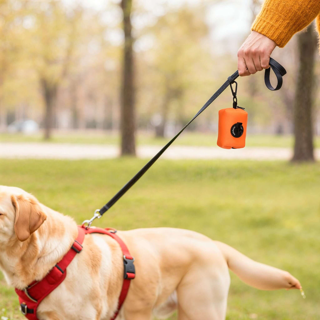 Mujer sosteniendo el dispensador baluka Pocket mientras pasea a su perro en el parque.
