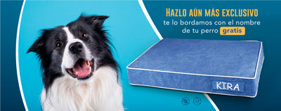 cama para perros de viscoelástica personalizada con su nombre bordado