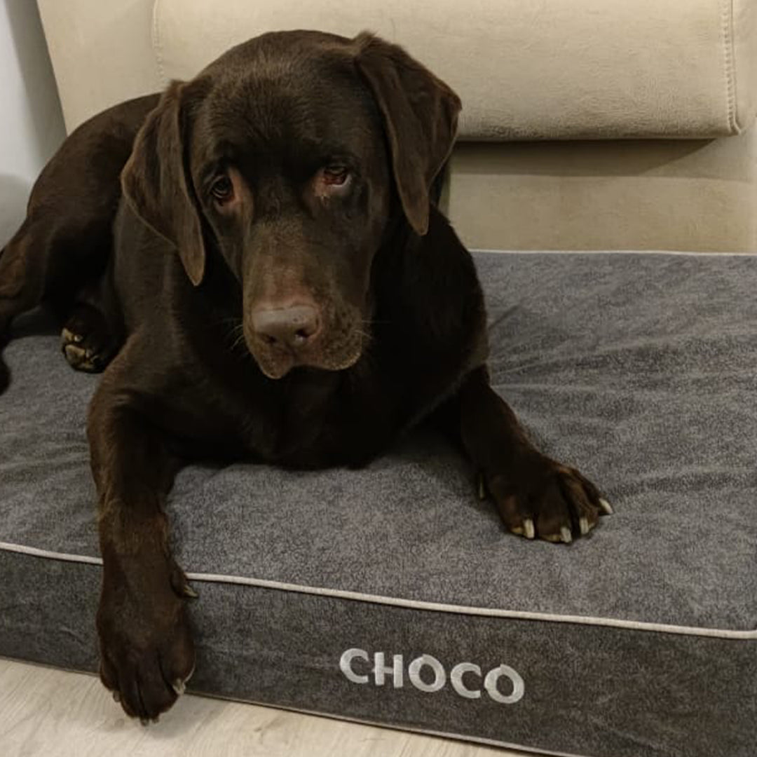 Memory foam dog bed