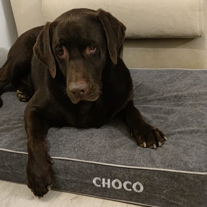 Memory foam dog bed