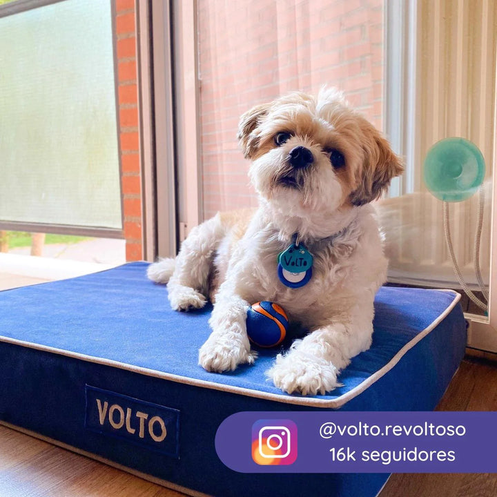 Memory foam dog bed