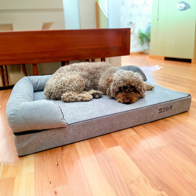 Memory foam dog bed