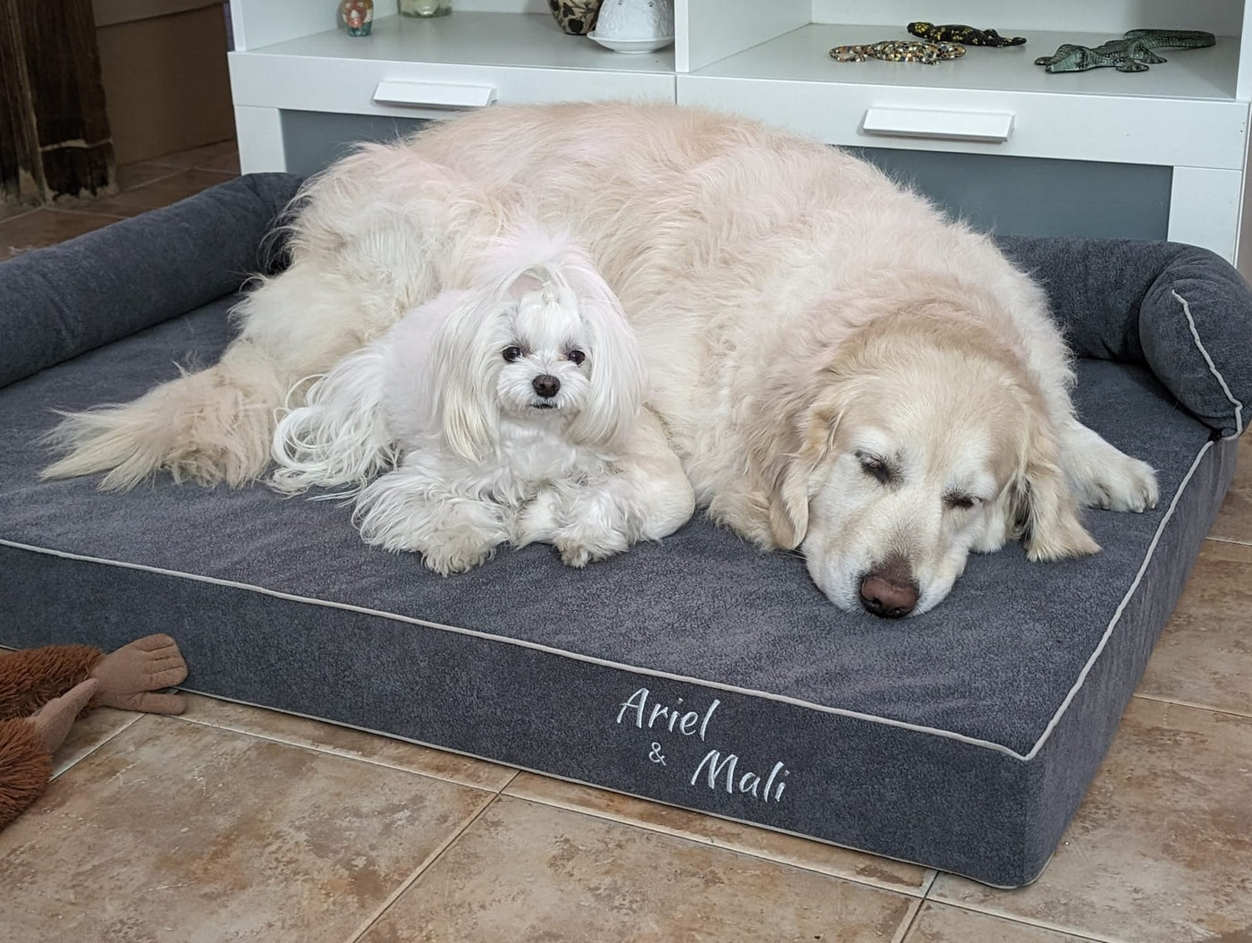 Memory foam dog bed