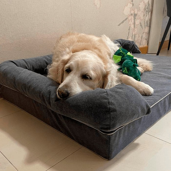 golden en cama viscoelástica para perros con su nombre bordado de baluka mascotas