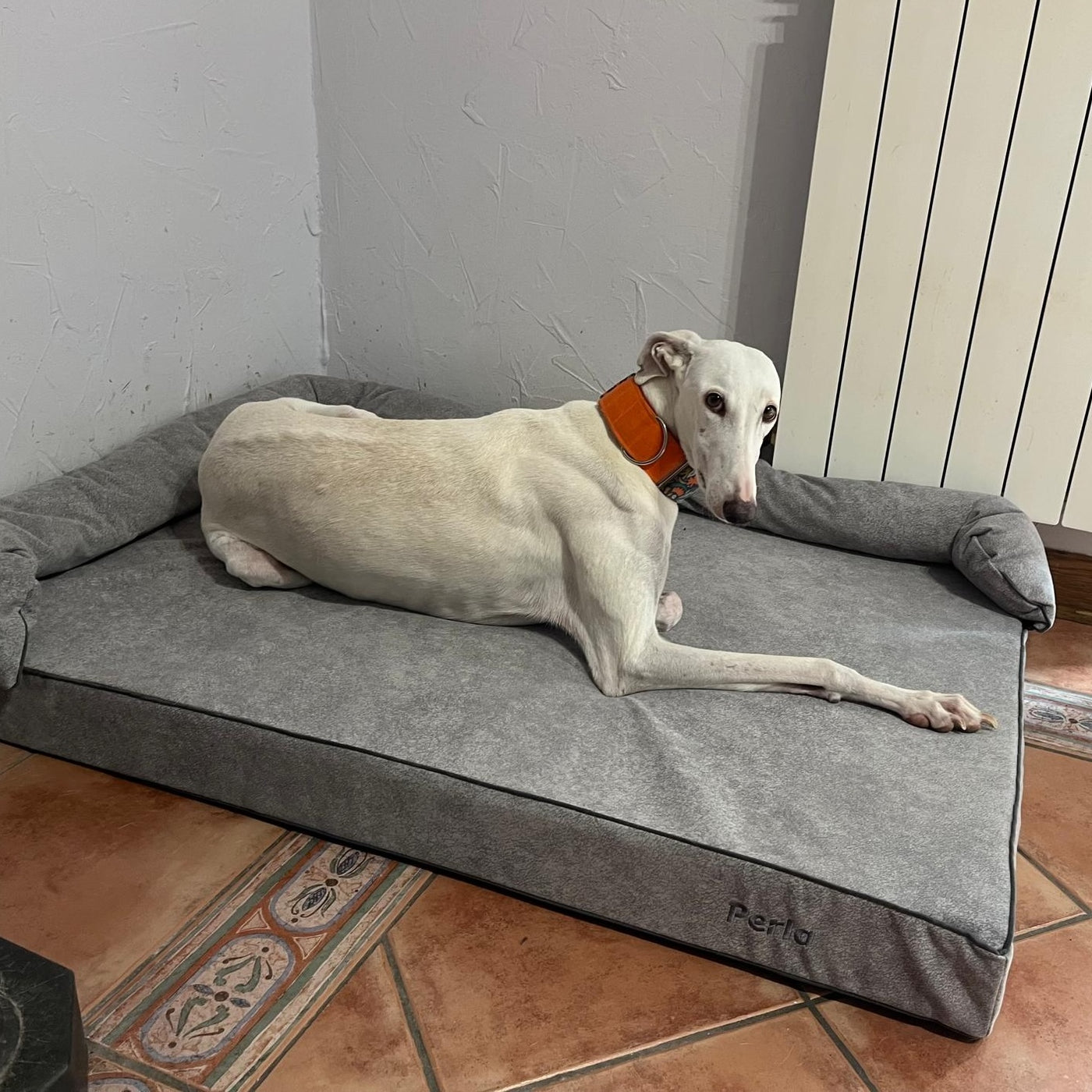 Cama de cão Viscoelastic