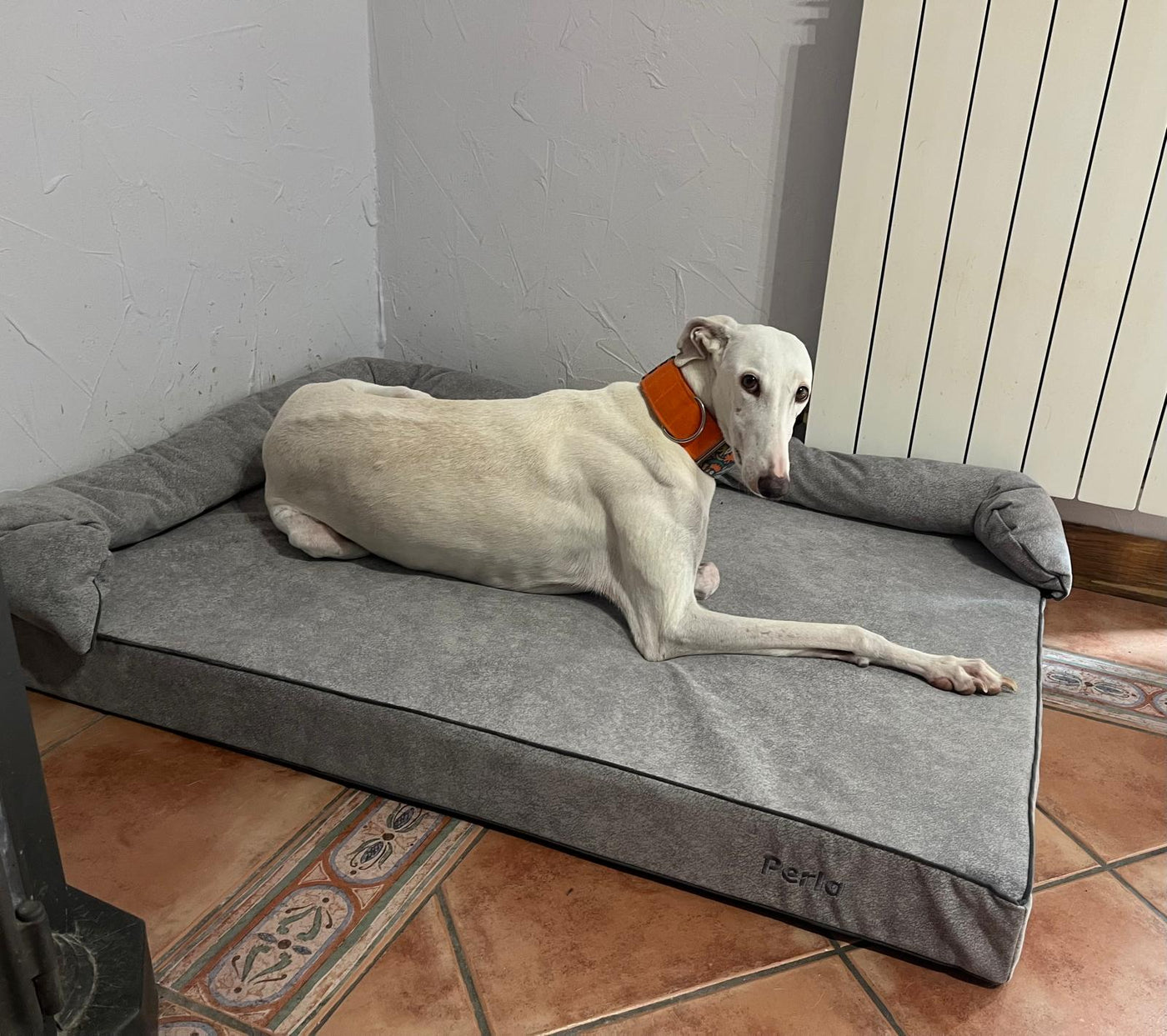 Cama viscoelástica para perro