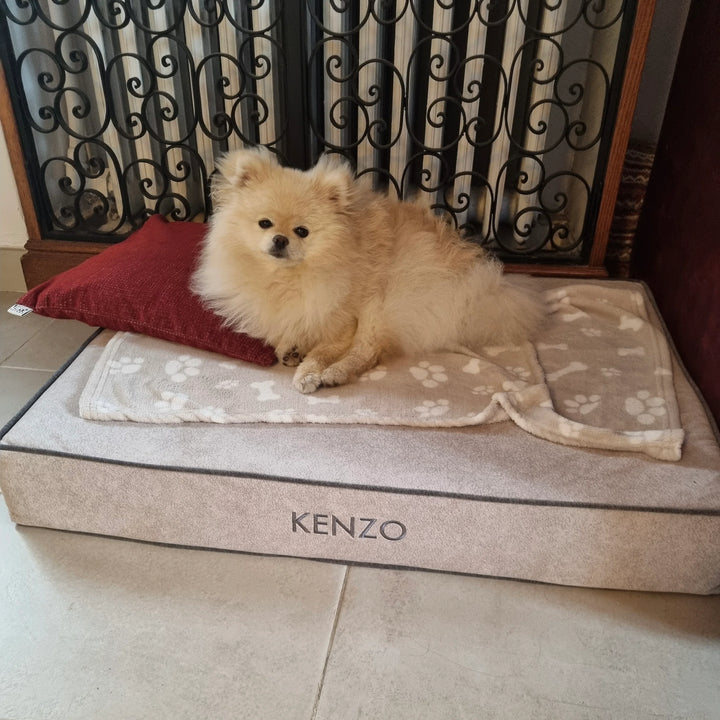 Memory foam dog bed