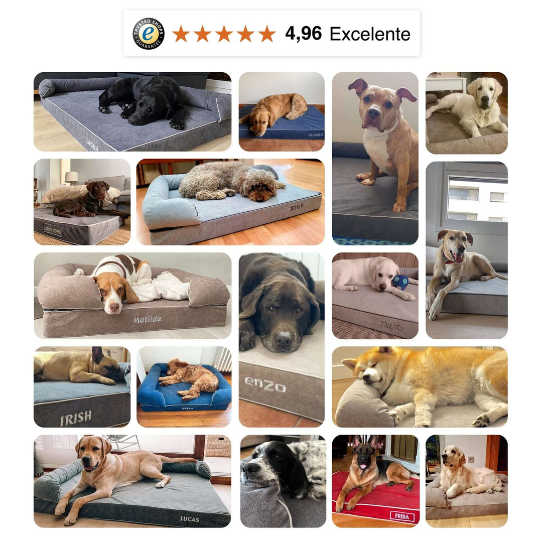 Cama viscoelástica para perros