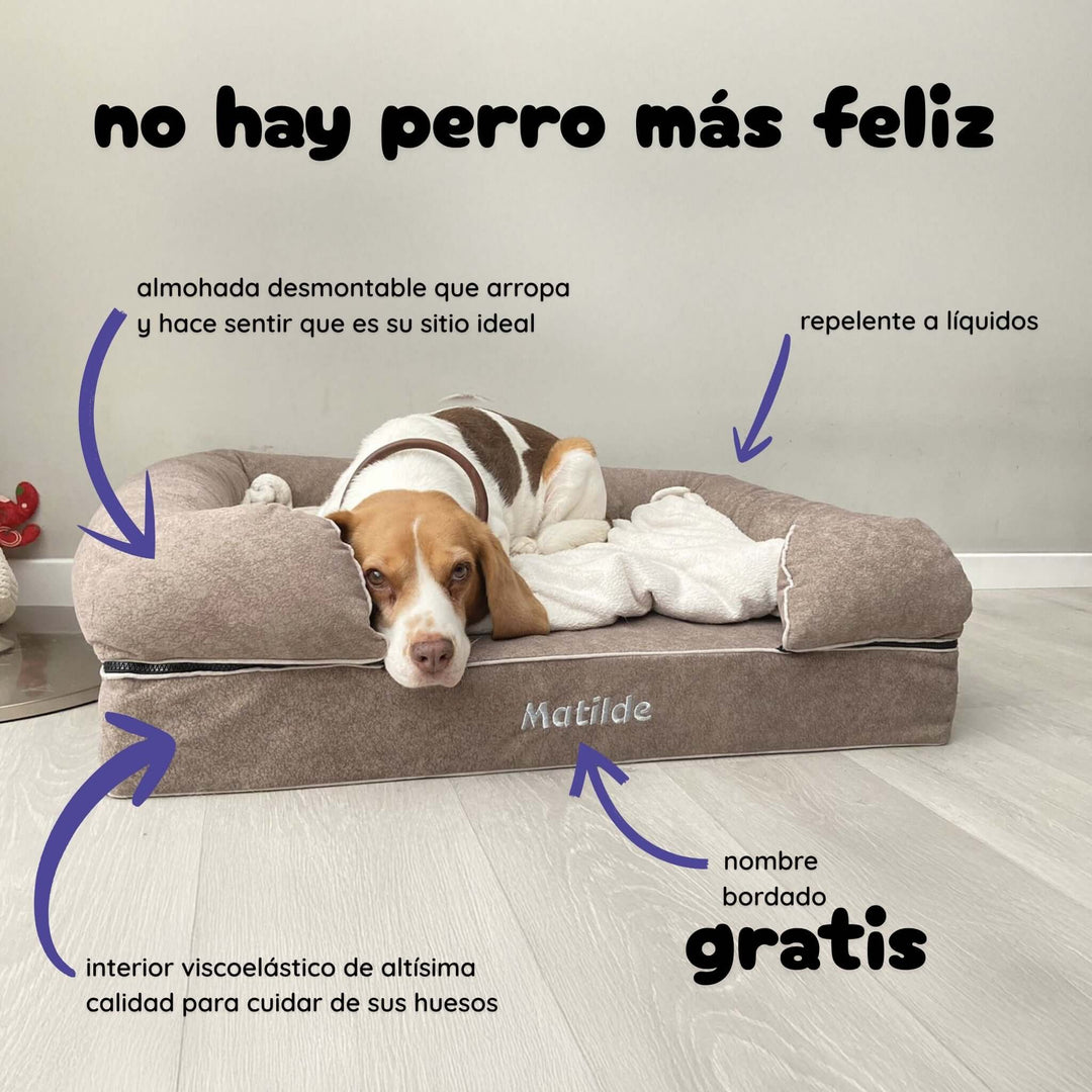 Cama viscoelástica para perros
