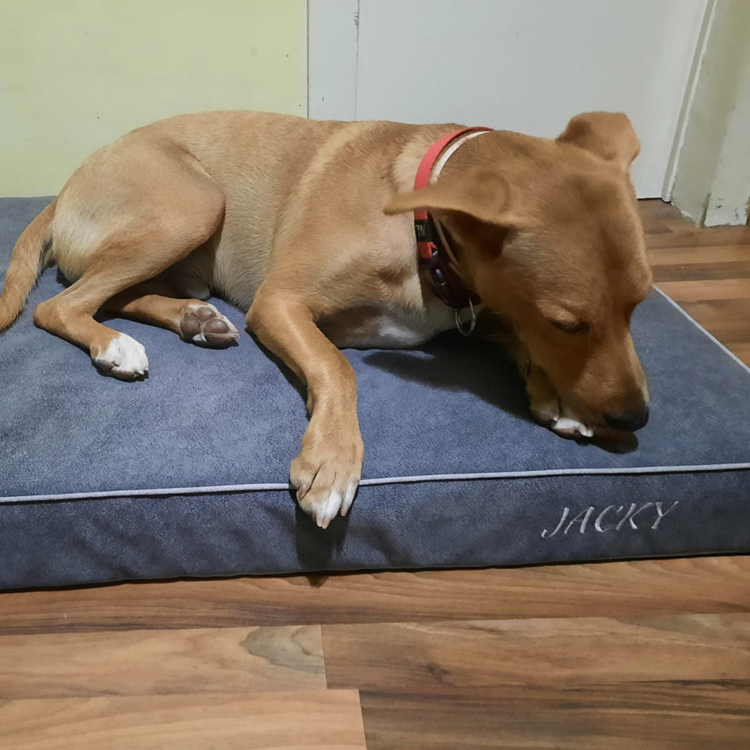 Memory foam dog bed