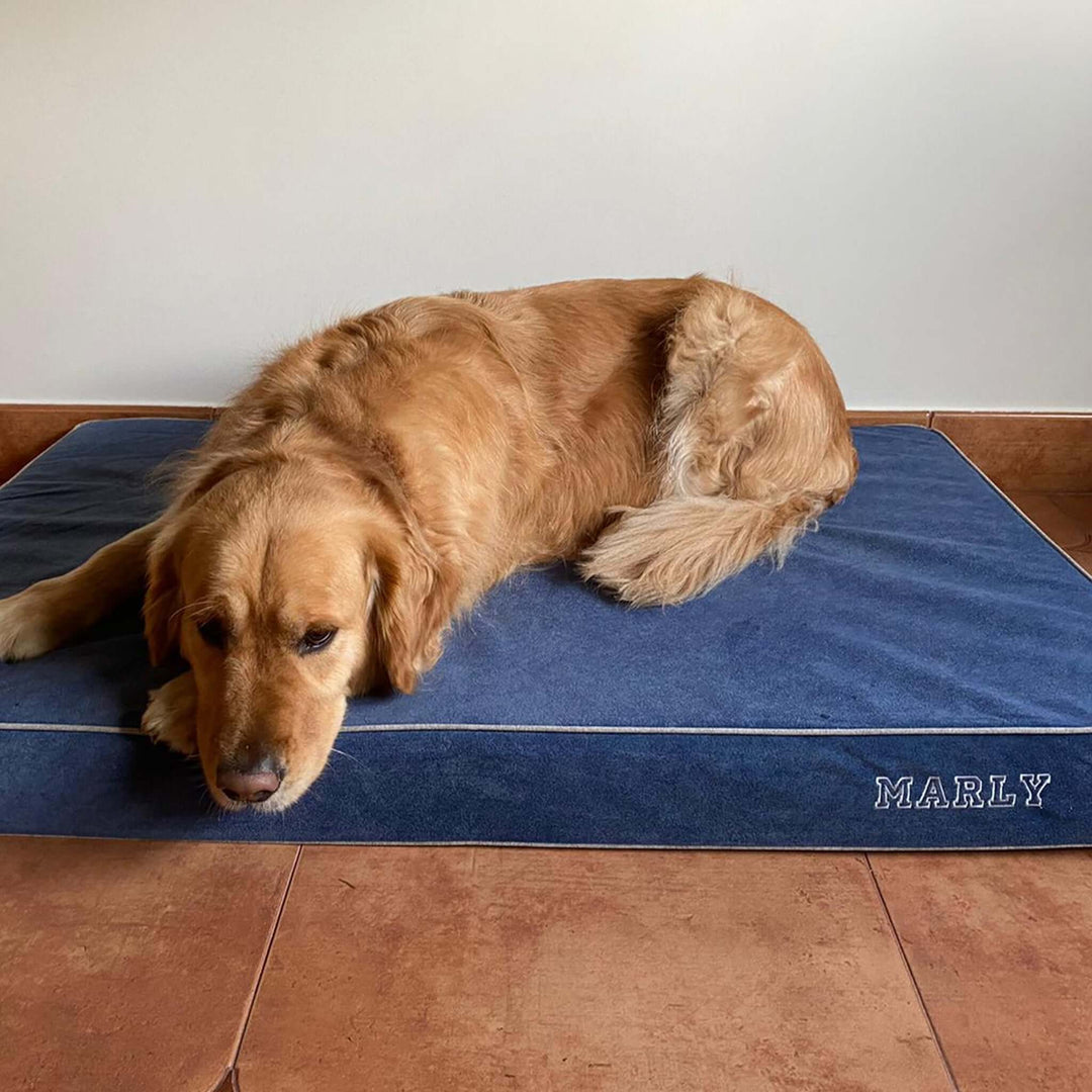 Cama viscoelástica para perros