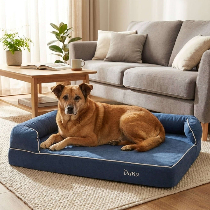 Viscoelastic bed for dogs