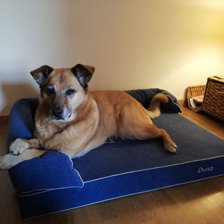 Cama viscoelástica para perro