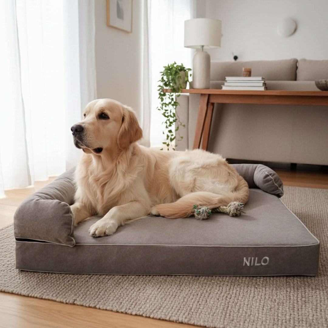 Viscoelastic bed for dogs