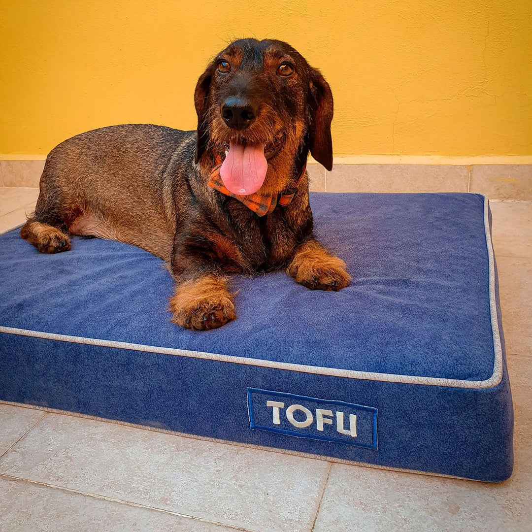Cama viscoelástica para perros