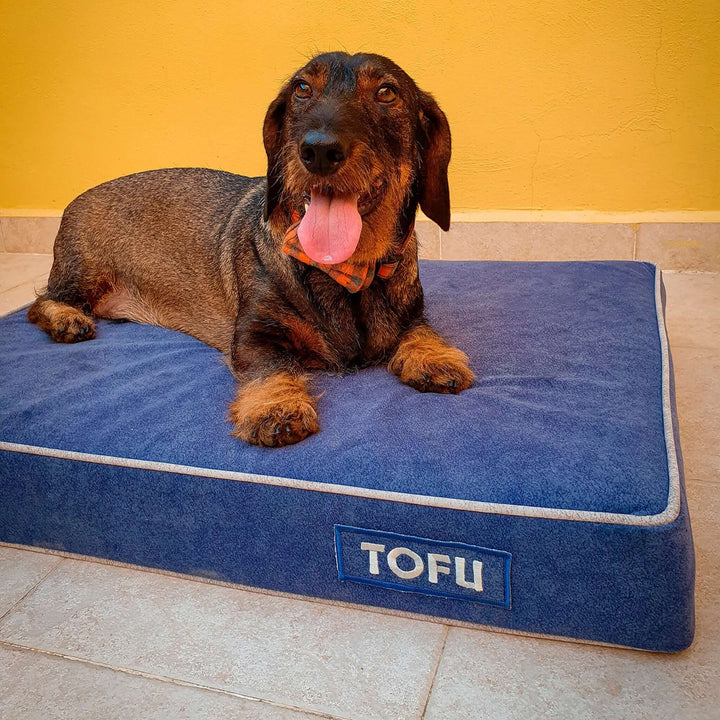 Cama viscoelástica para perros