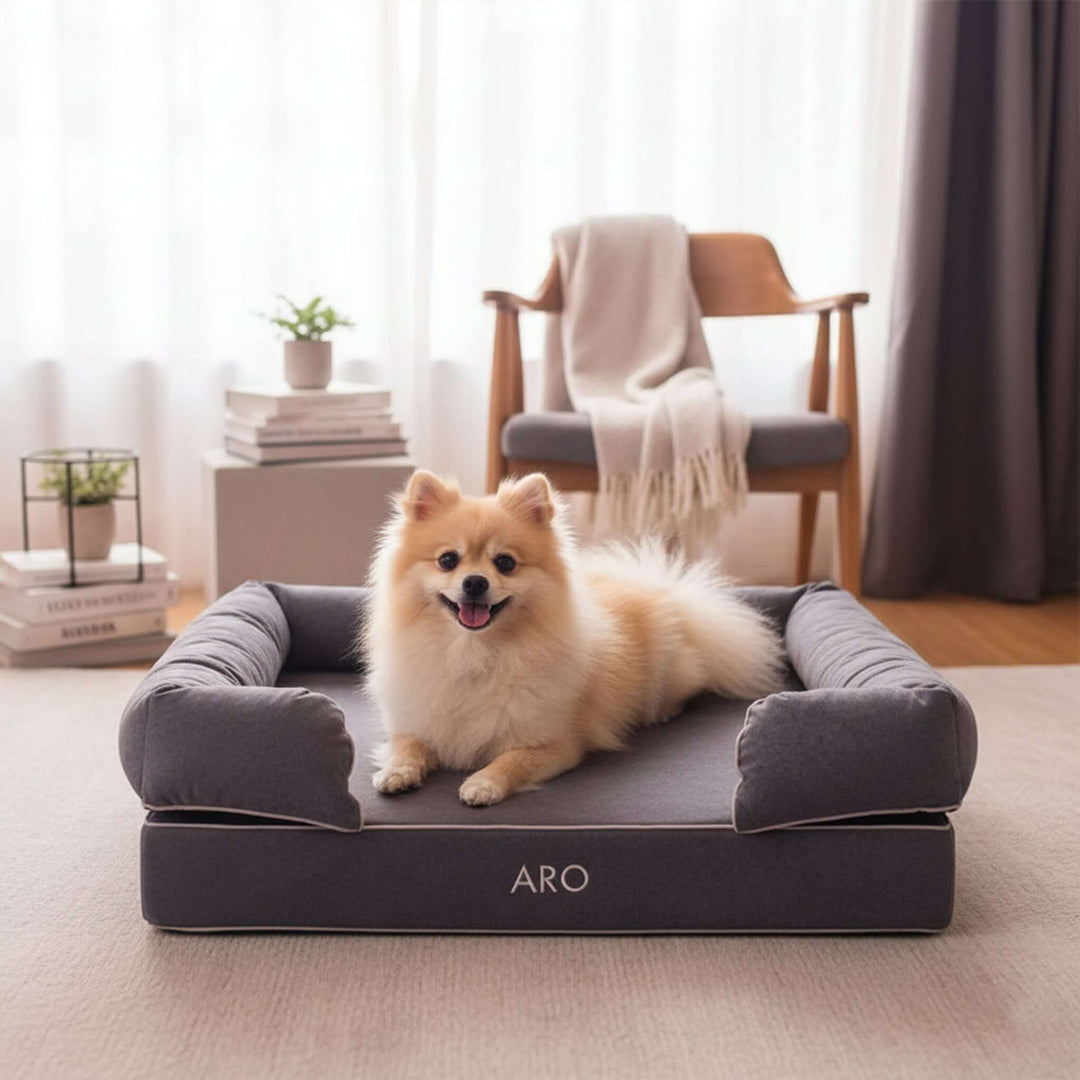Viscoelastic bed for dogs