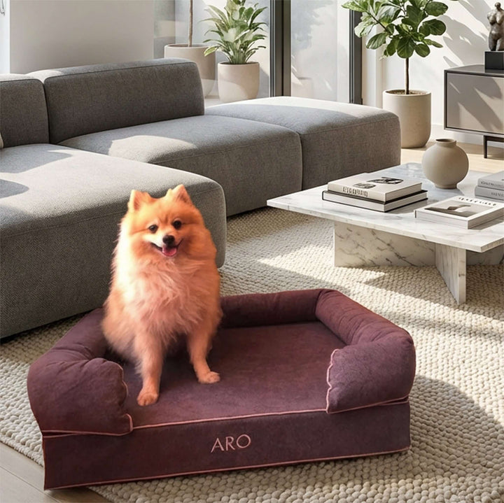 Cama viscoelástica para perros