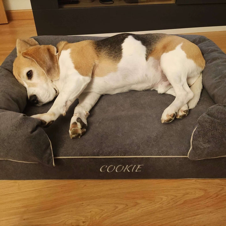 Cama viscoelástica para perros