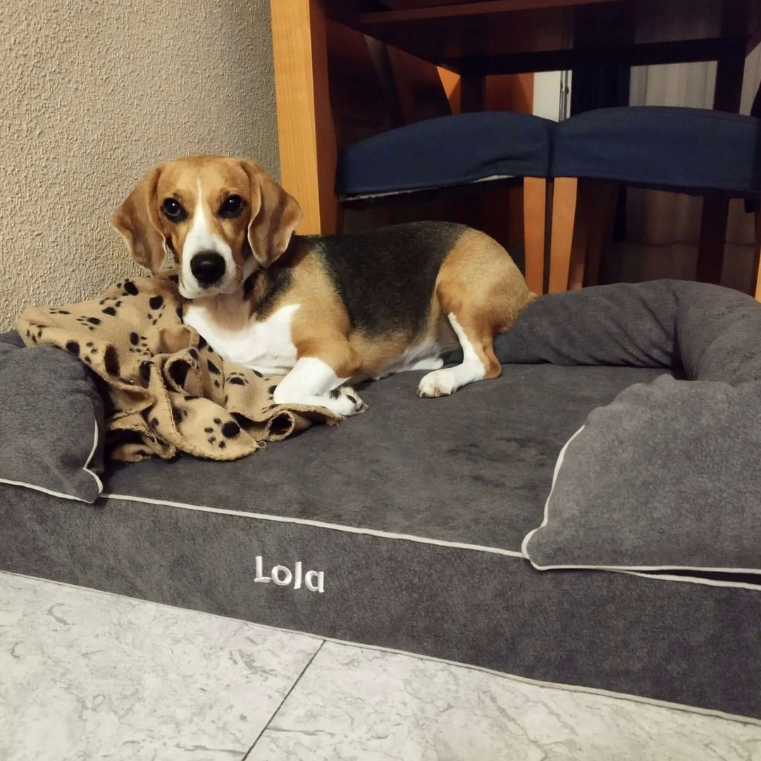 Cama viscoelástica para perros