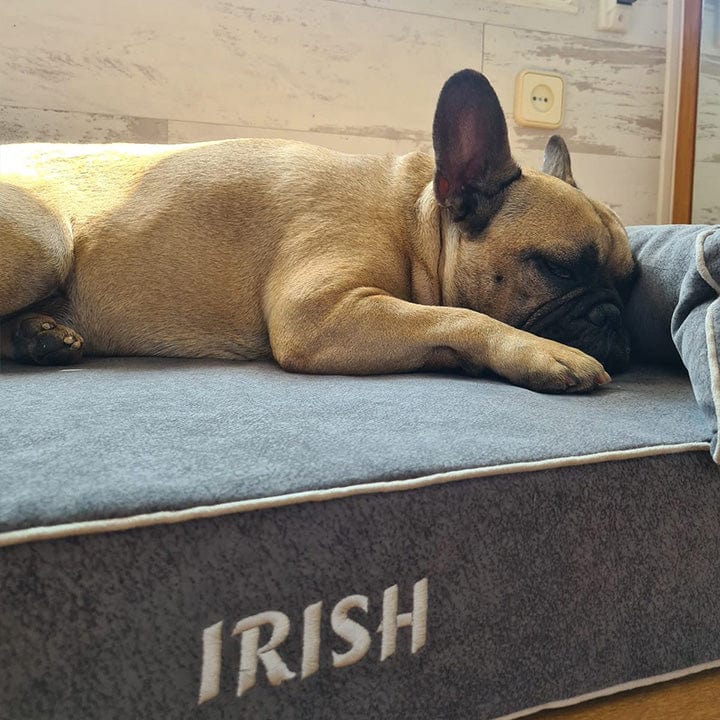 perro mediano en cama viscoelástica para perros con su nombre bordado de baluka mascotas