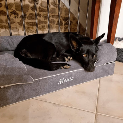 Memory foam dog bed